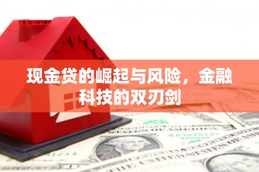威县现金贷的崛起与风险，金融科技的双刃剑