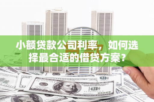 威县小额贷款公司利率，如何选择最合适的借贷方案？