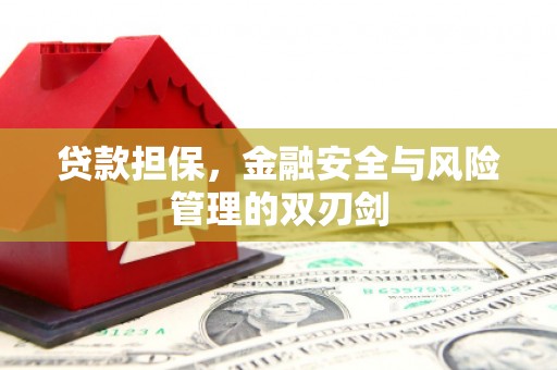 威县贷款担保，金融安全与风险管理的双刃剑