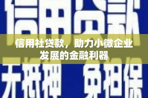 威县信用社贷款，助力小微企业发展的金融利器