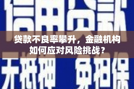 威县贷款不良率攀升，金融机构如何应对风险挑战？